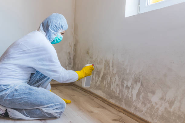 Mold Remediation specialist working in Jonestown
